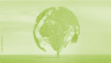 3rd ENVE Commission meeting