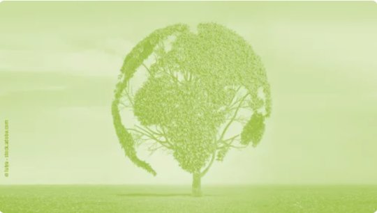 3rd ENVE Commission meeting