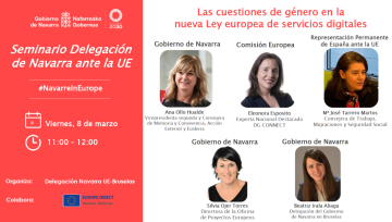 Gender issues in the new European Digital Services Act (DSA)