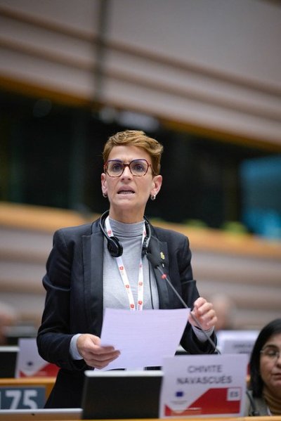 163� Pleno Comit� de las Regiones